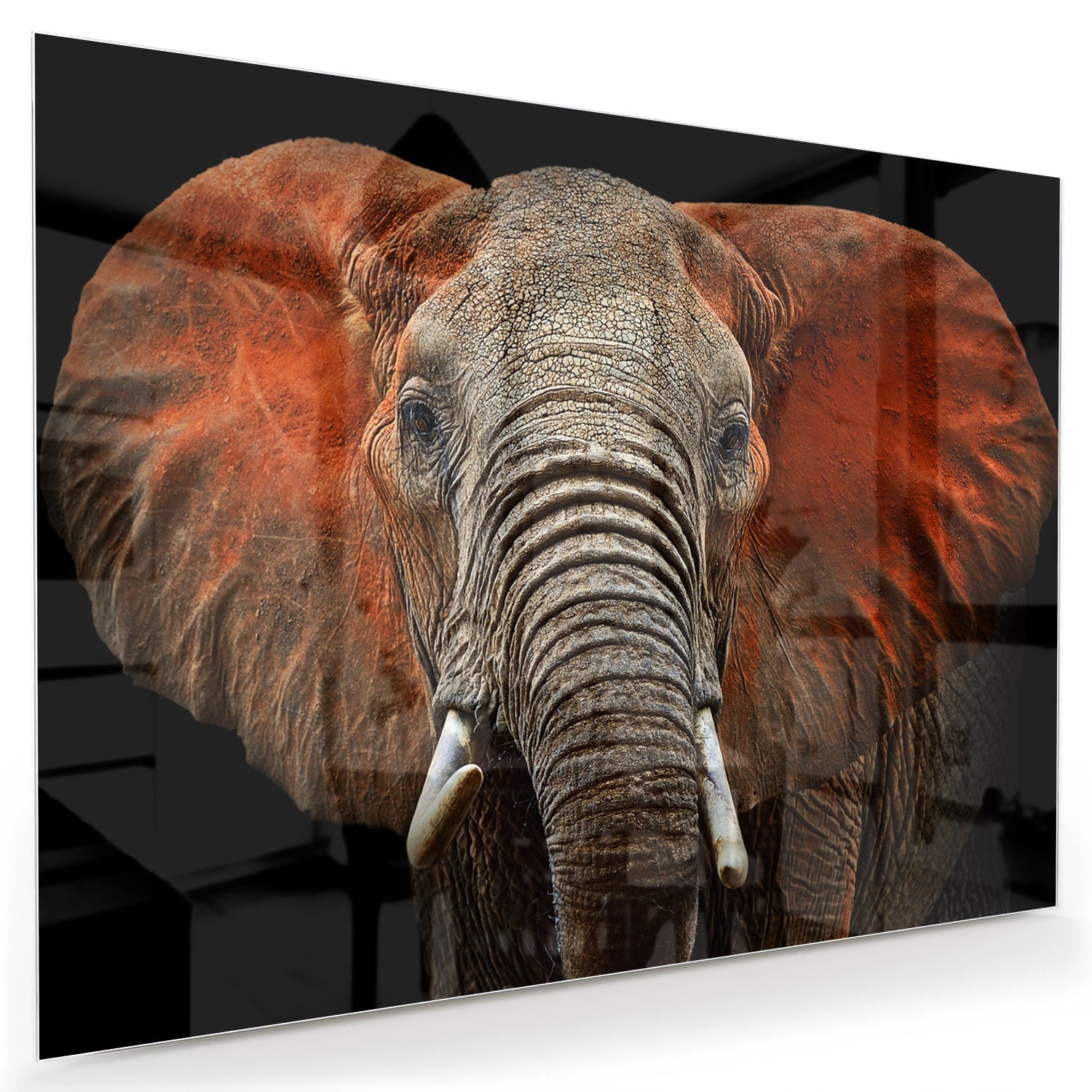 Glazen schilderij van een olifant met kleurrijke oren, prachtig voor aan de muur.