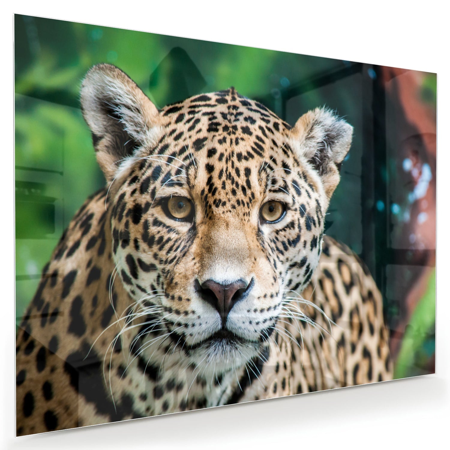Glazen schilderij van een jaguar dat aan de muur hangt in een moderne woonkamer.
