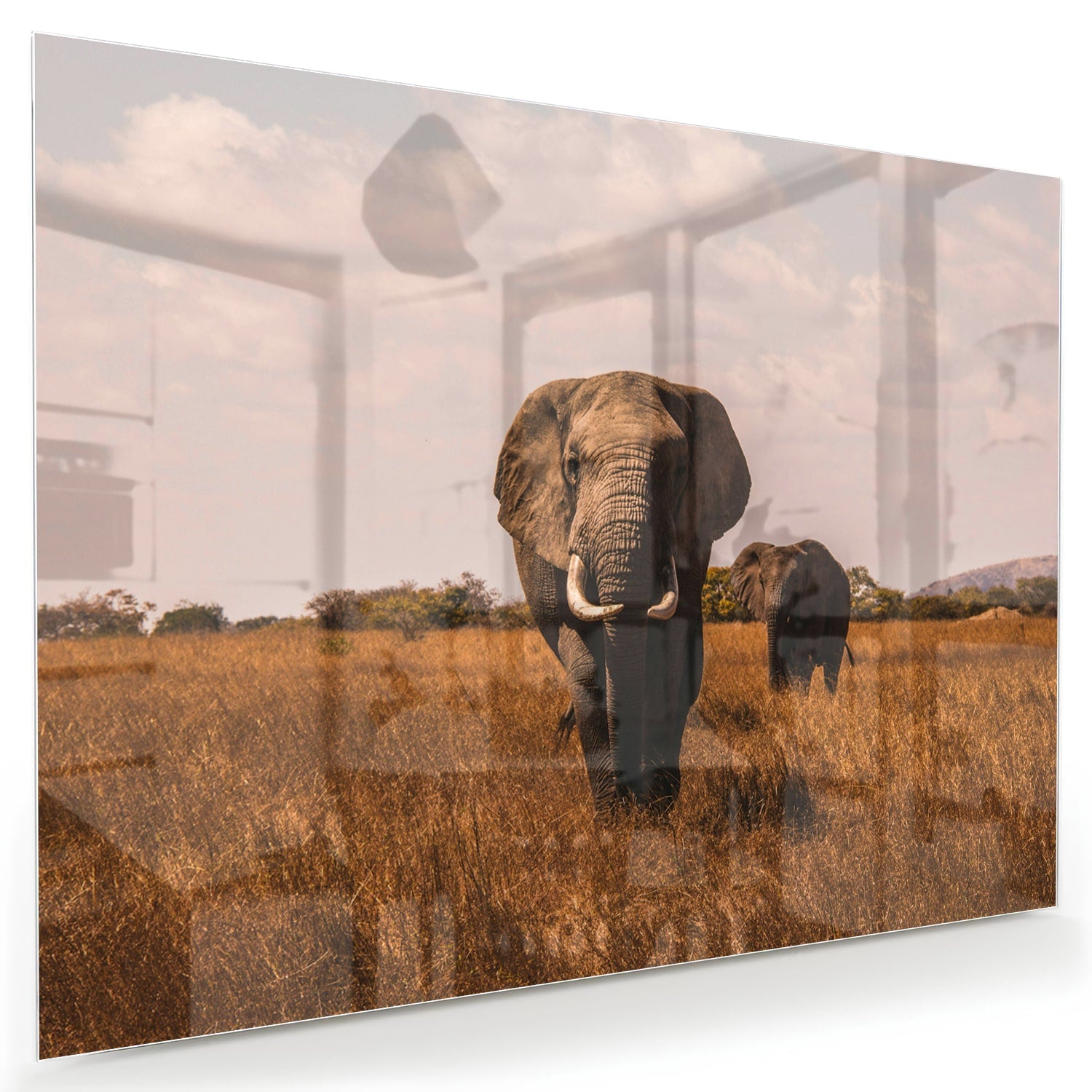 Glazen schilderij van twee olifanten in een gouden graslandschap