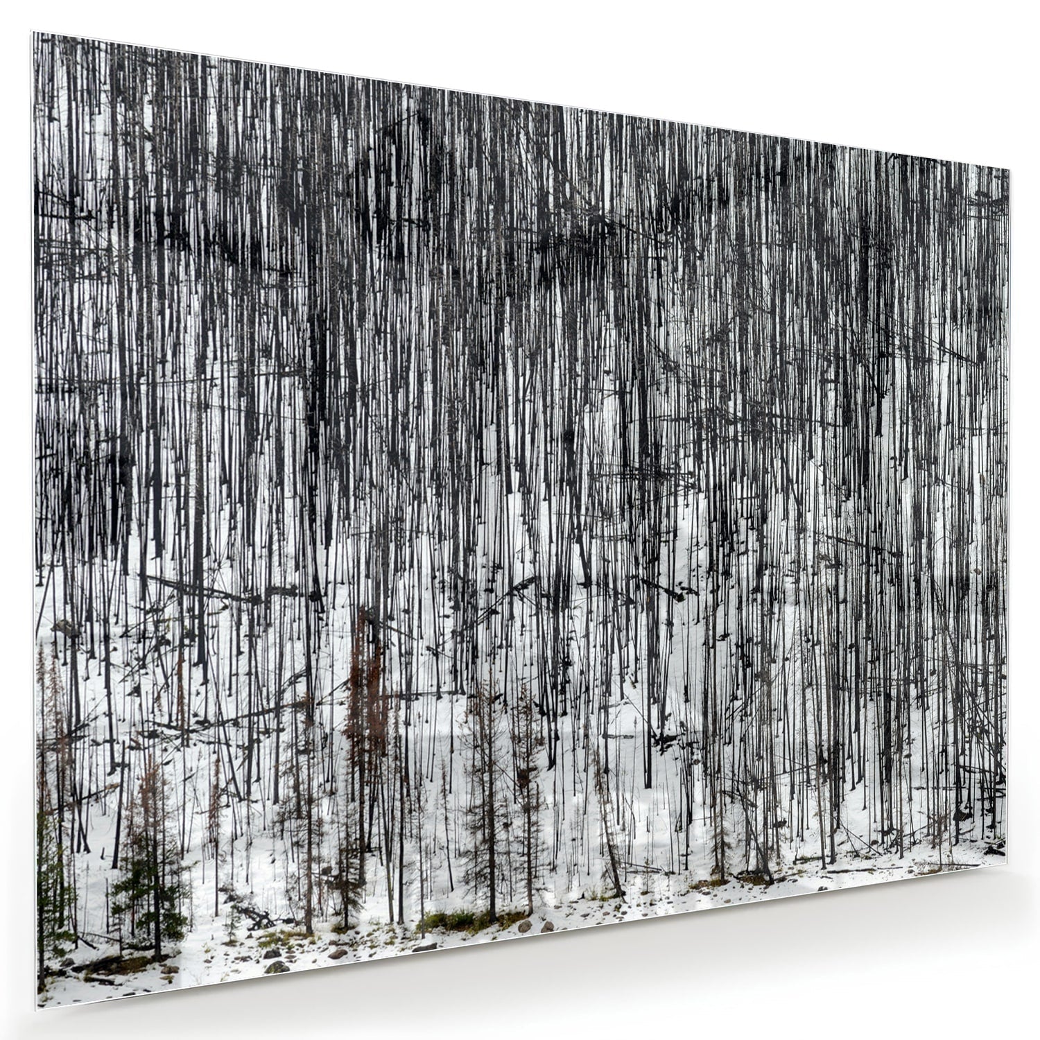 Minimalistisch glazen schilderij met een boslandschap, perfect voor moderne interieurs.