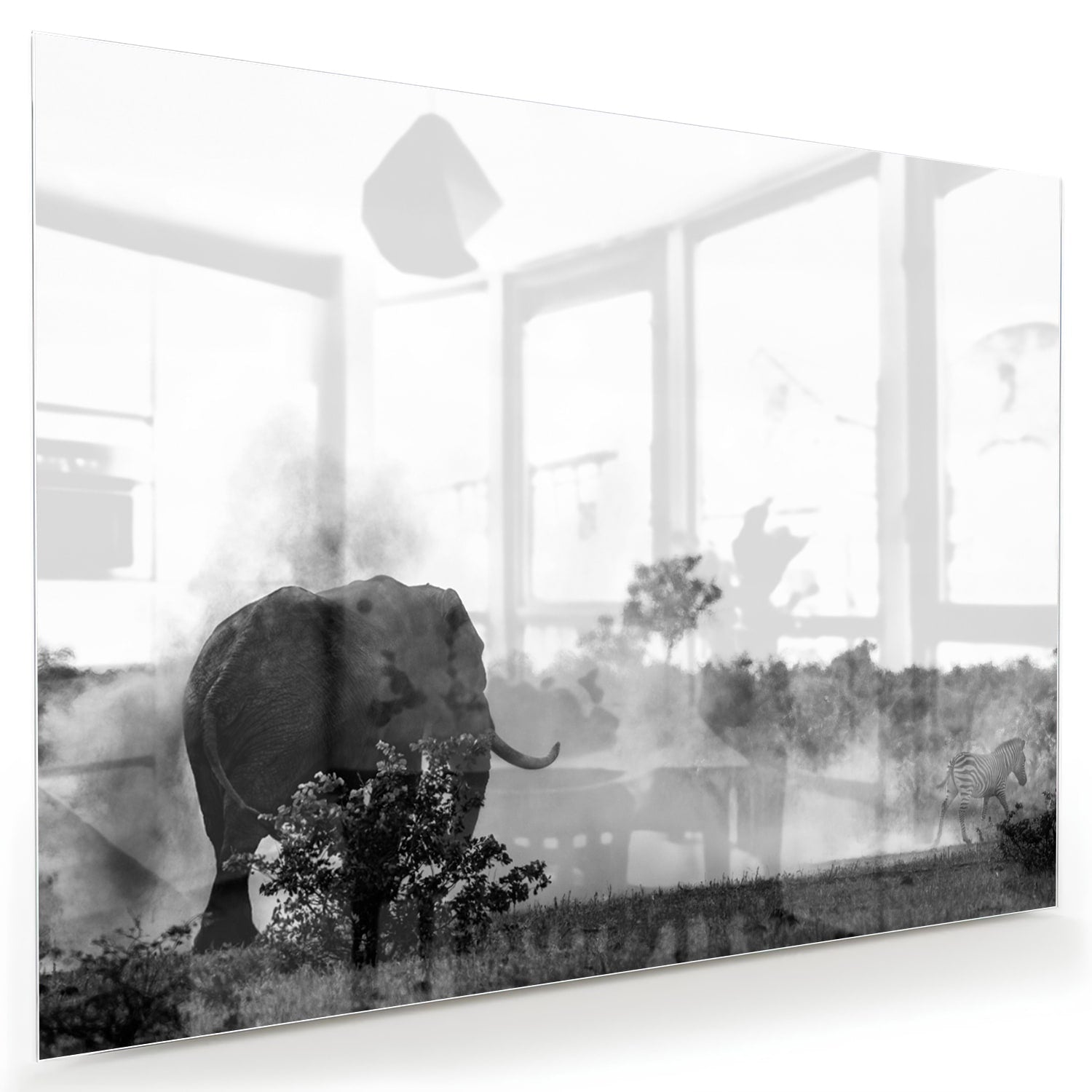 Zwart-wit glazen schilderij van een olifant aan de muur in een modern interieur.