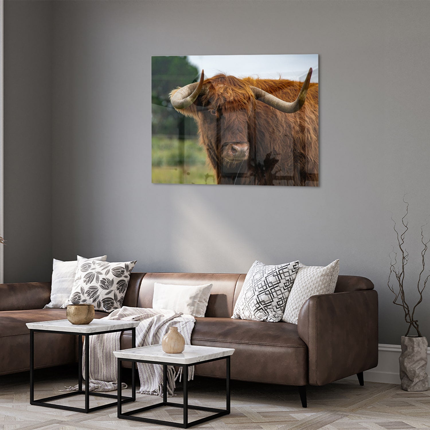 Glas schilderij van een Schotse Hooglander in een moderne woonkamer