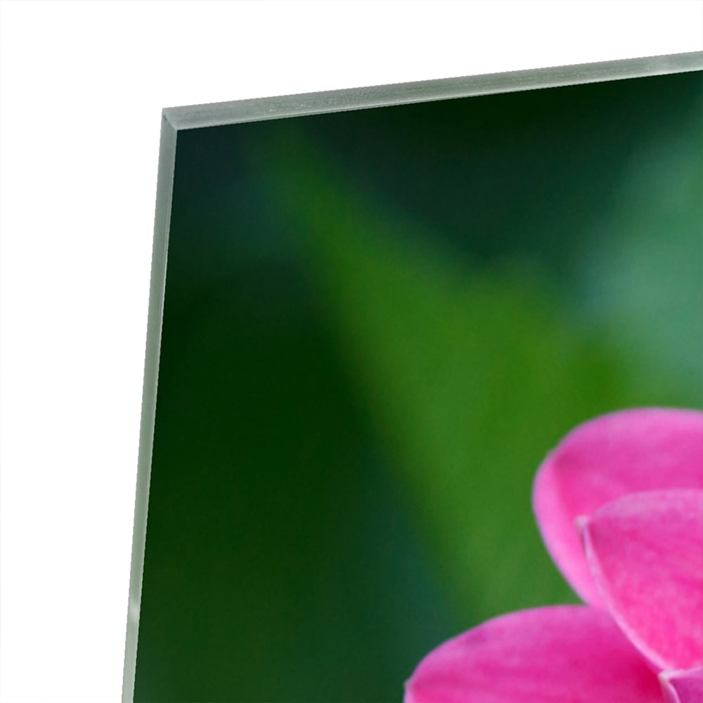 Glazen schilderij met een grote roze bloem, perfect voor wanddecoratie.