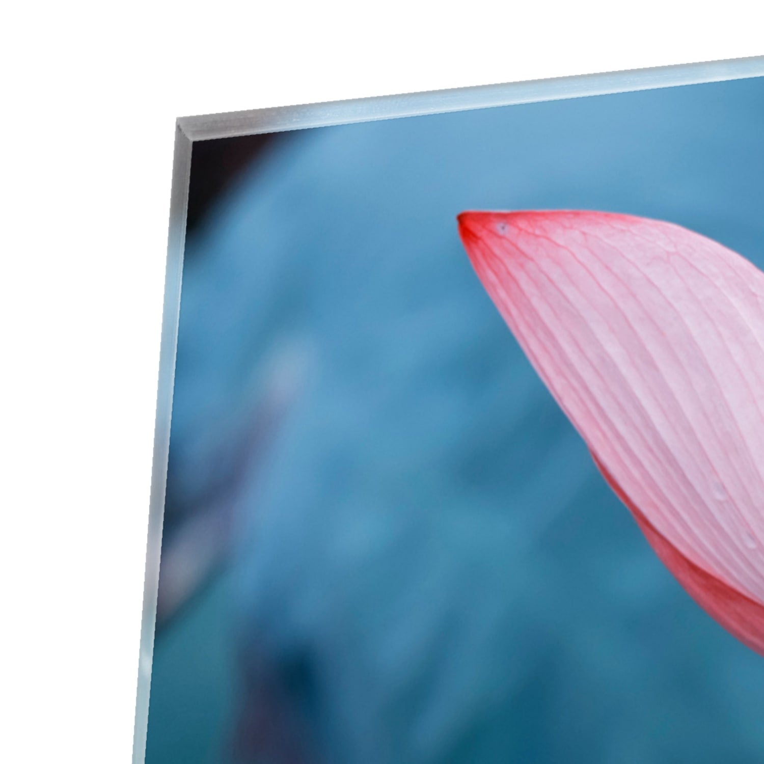 Glazen schilderij van een roze lotus boven een houten meubelstuk in een gezellige woonkamer.