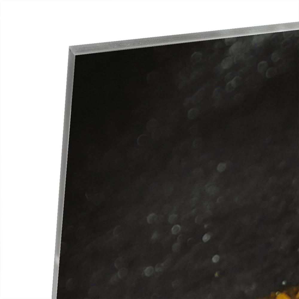 Glazen schilderij met een gouden blad op een zwarte achtergrond, perfect voor moderne interieurs.