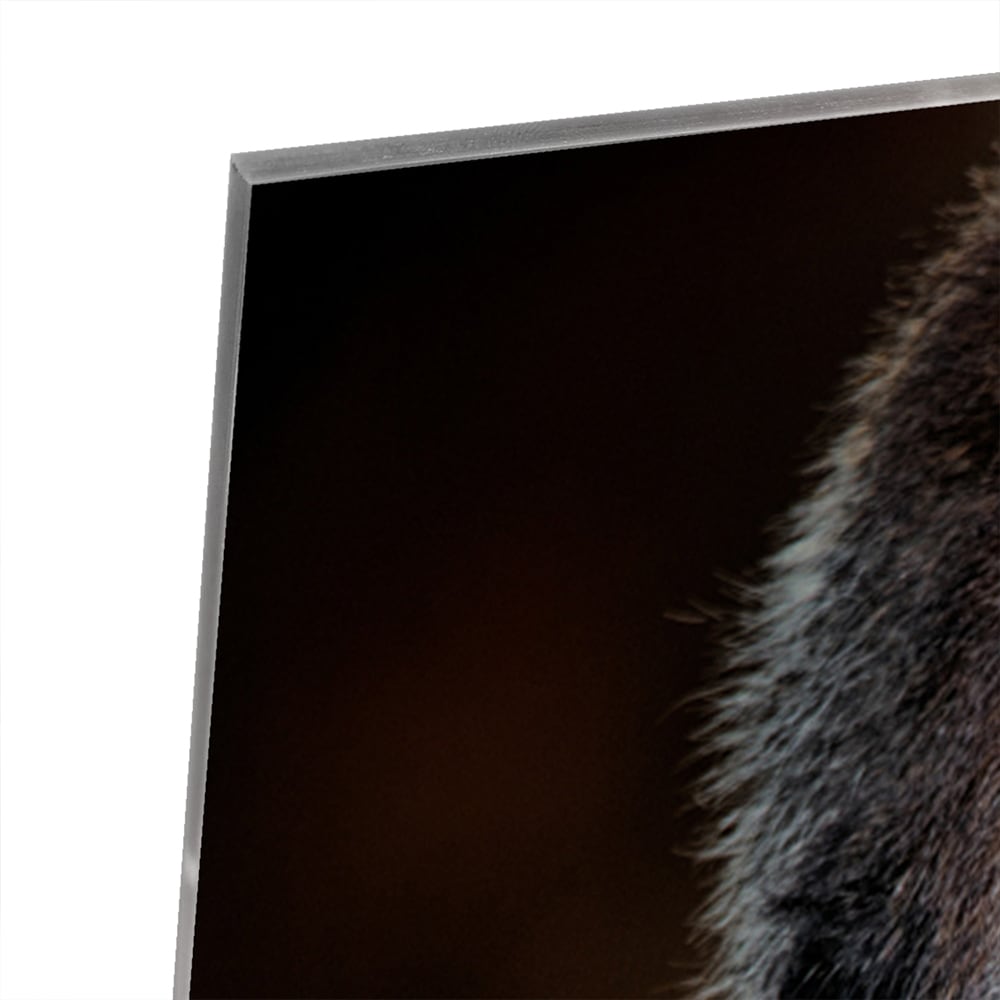 Glazen schilderij van een gorilla in een moderne woonkamer.