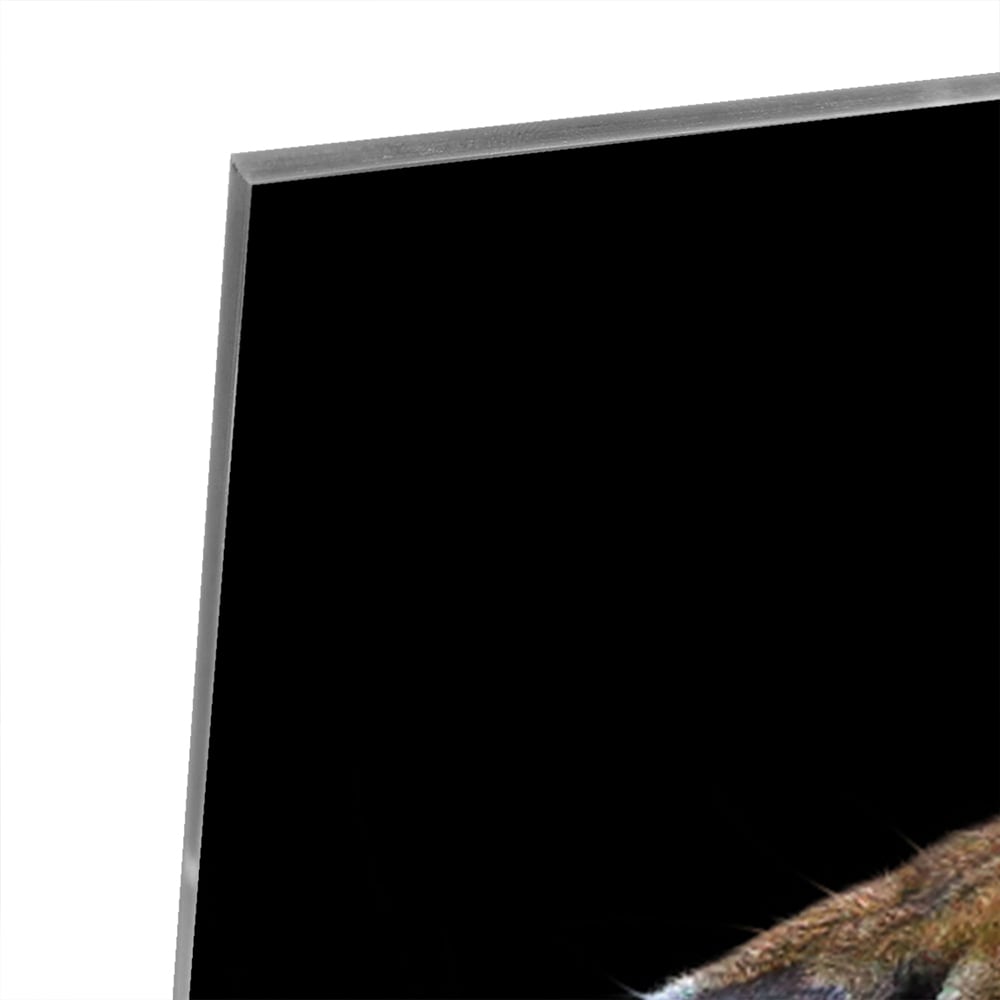 Glazen schilderij van een brullende tijger aan de muur in een stijlvolle kamer.