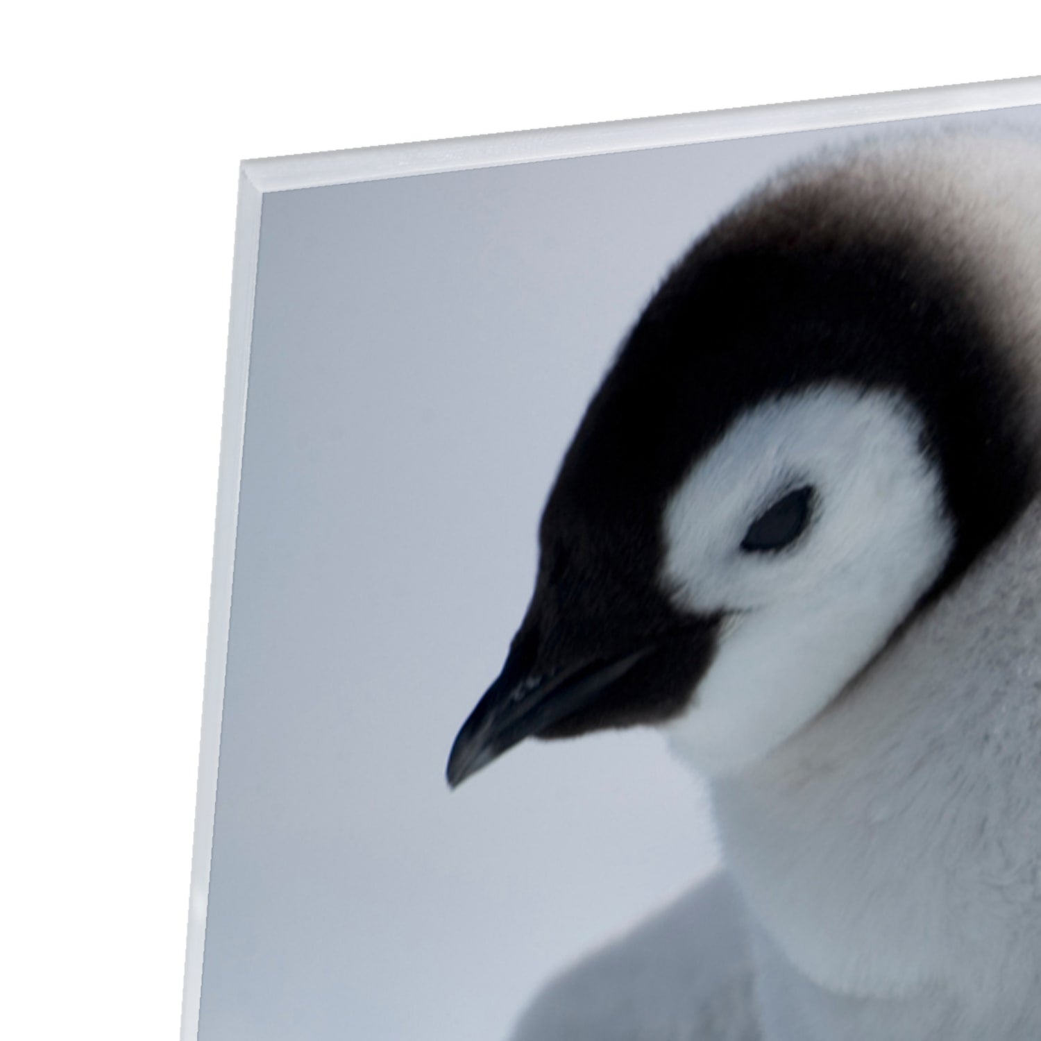 Glazen schilderij van twee pinguns in een winterlandschap.