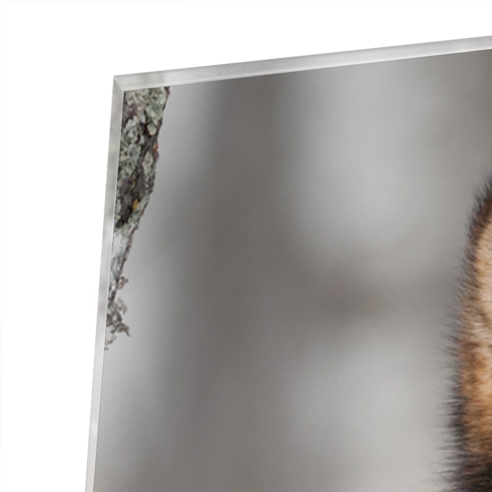 Glazen schilderij van een wolf met indrukwekkende blik in een interieur