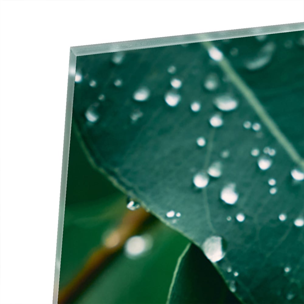 Glas schilderij van groene bladeren met dauwdruppels in een interieur
