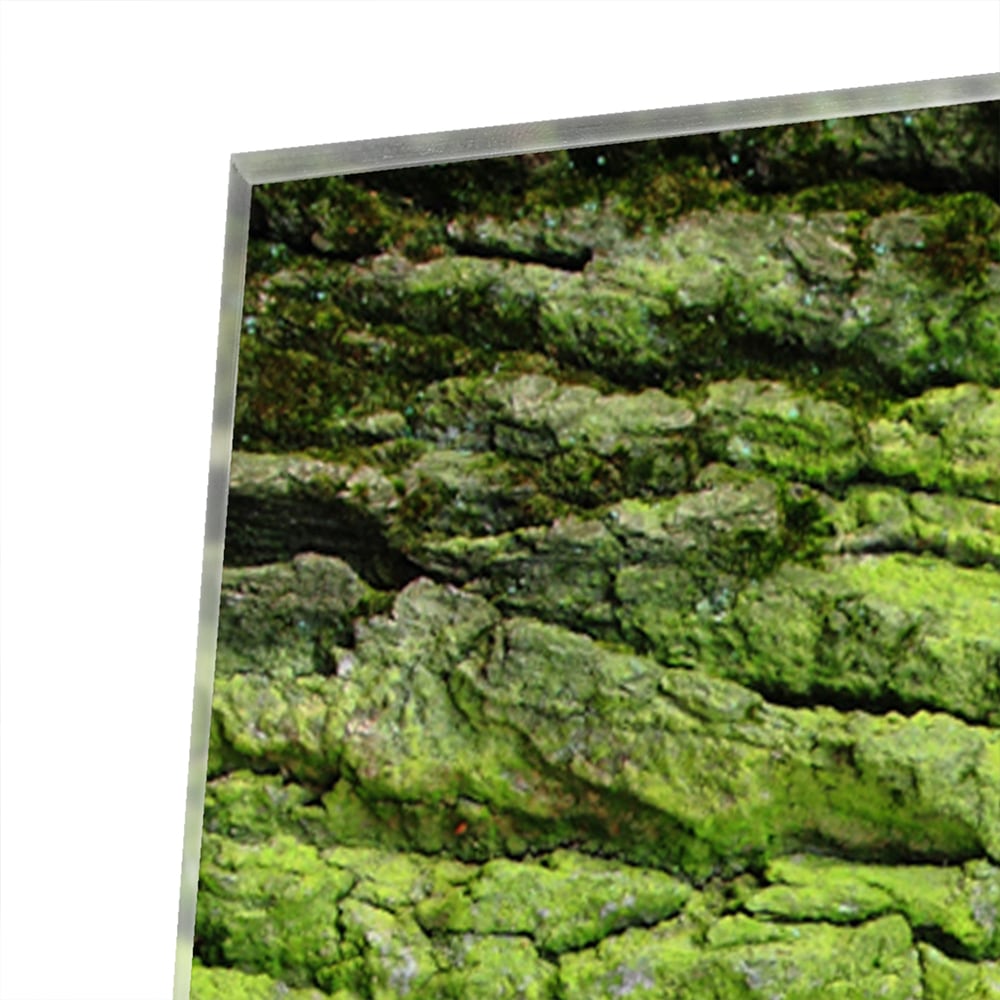 Glazen schilderij met groene mosachtige textuur aan een muur