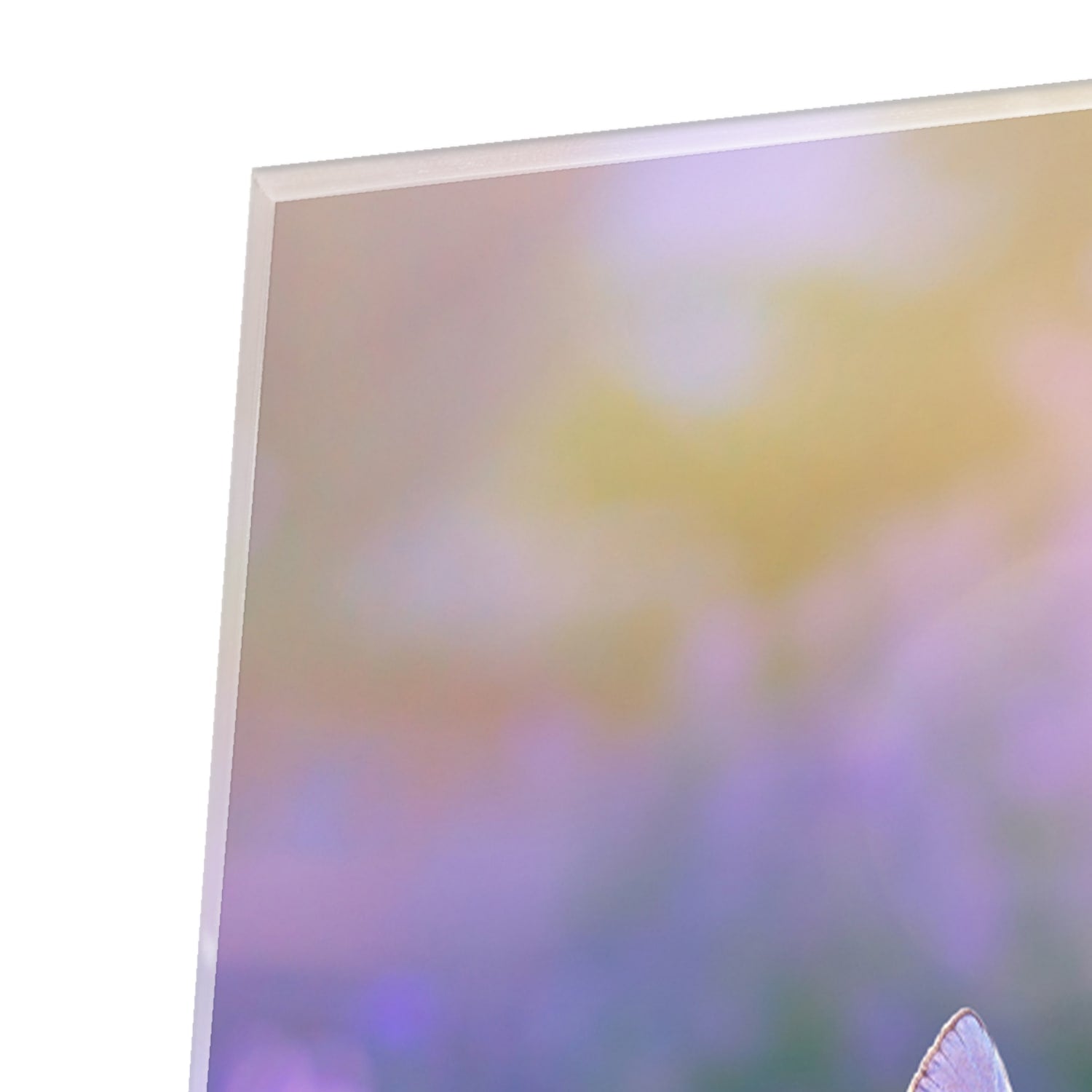 Glazen schilderij met lavendel en een vlinder op een muur