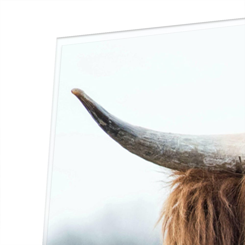 Glazen schilderij met een Houten Hooglander in een natuurlijke omgeving.