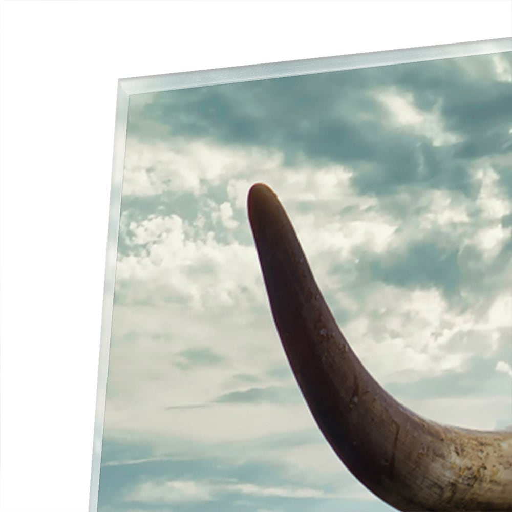 Glas schilderij van een Highlander koe met een mooie achtergrond.