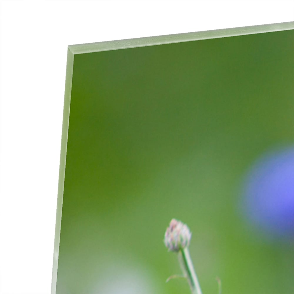 Glazen schilderij met paarse bloemen aan de muur in een lichte woonkamer.