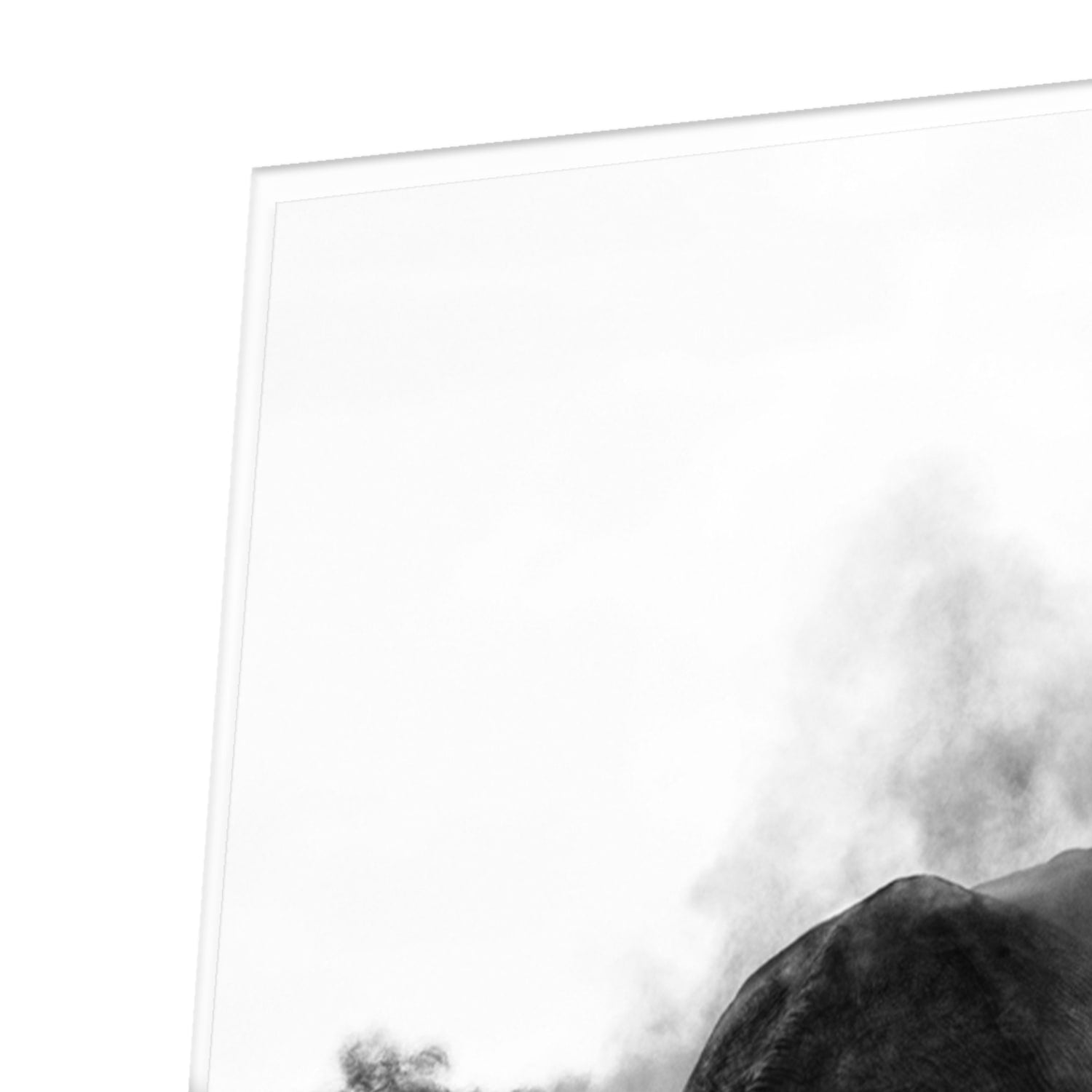 Zwart-wit glazen schilderij van een olifant aan de muur in een modern interieur.