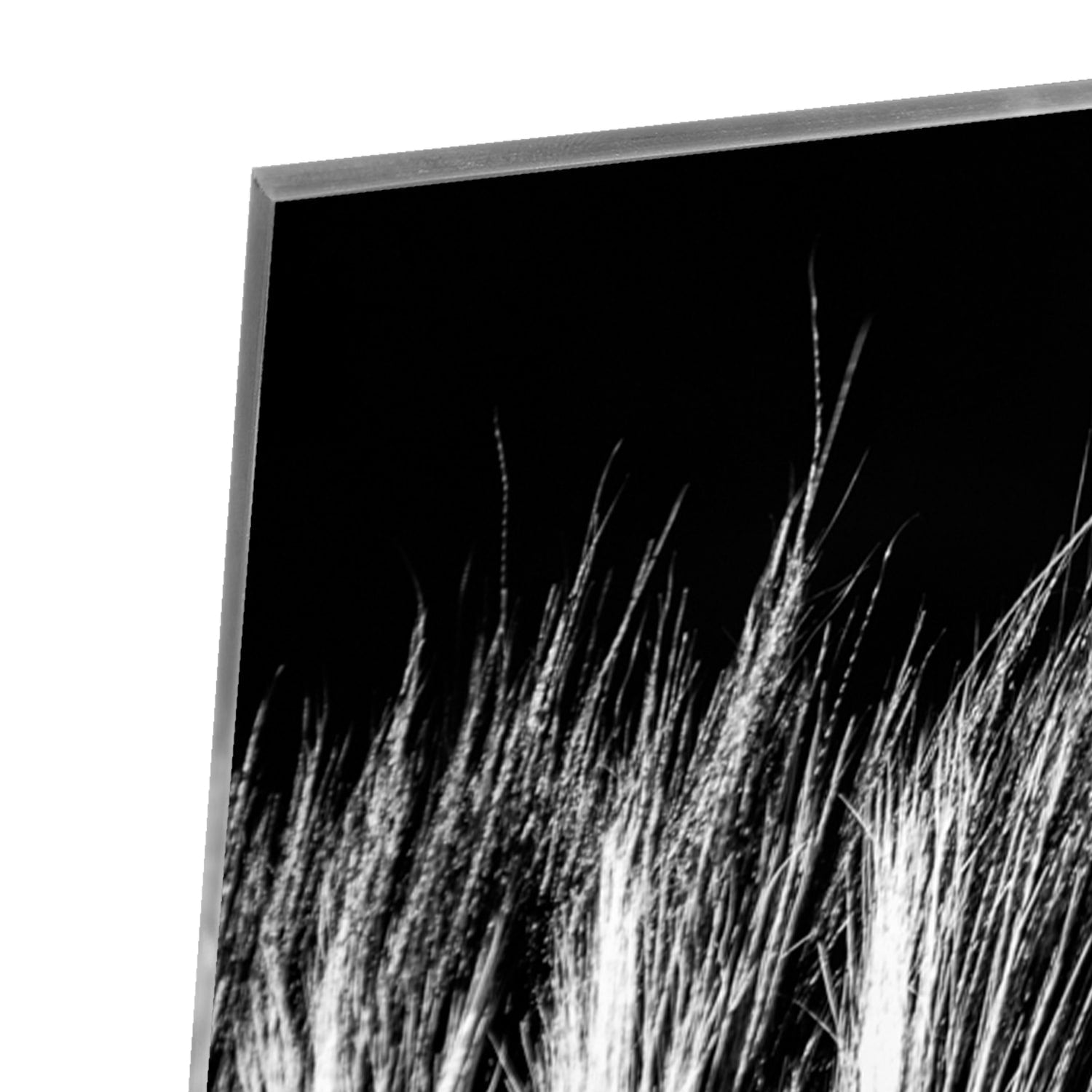 Een modern zwart-wit glazen schilderij met naadloze lijnen aan de muur.