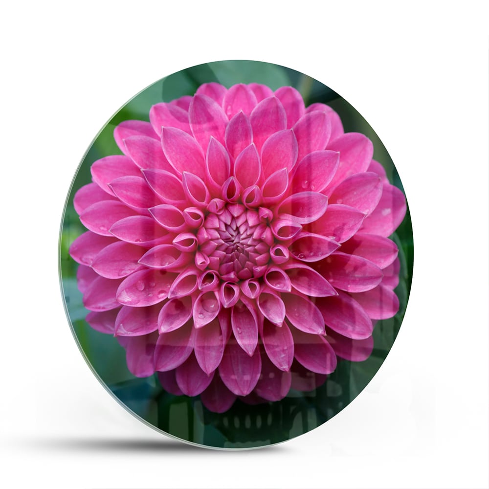Glazen schilderij met een grote roze bloem, perfect voor wanddecoratie.