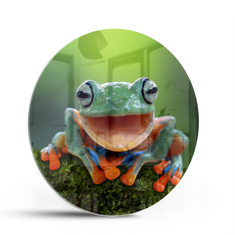Glazen schilderij van een vrolijke boomkikker op een groene achtergrond