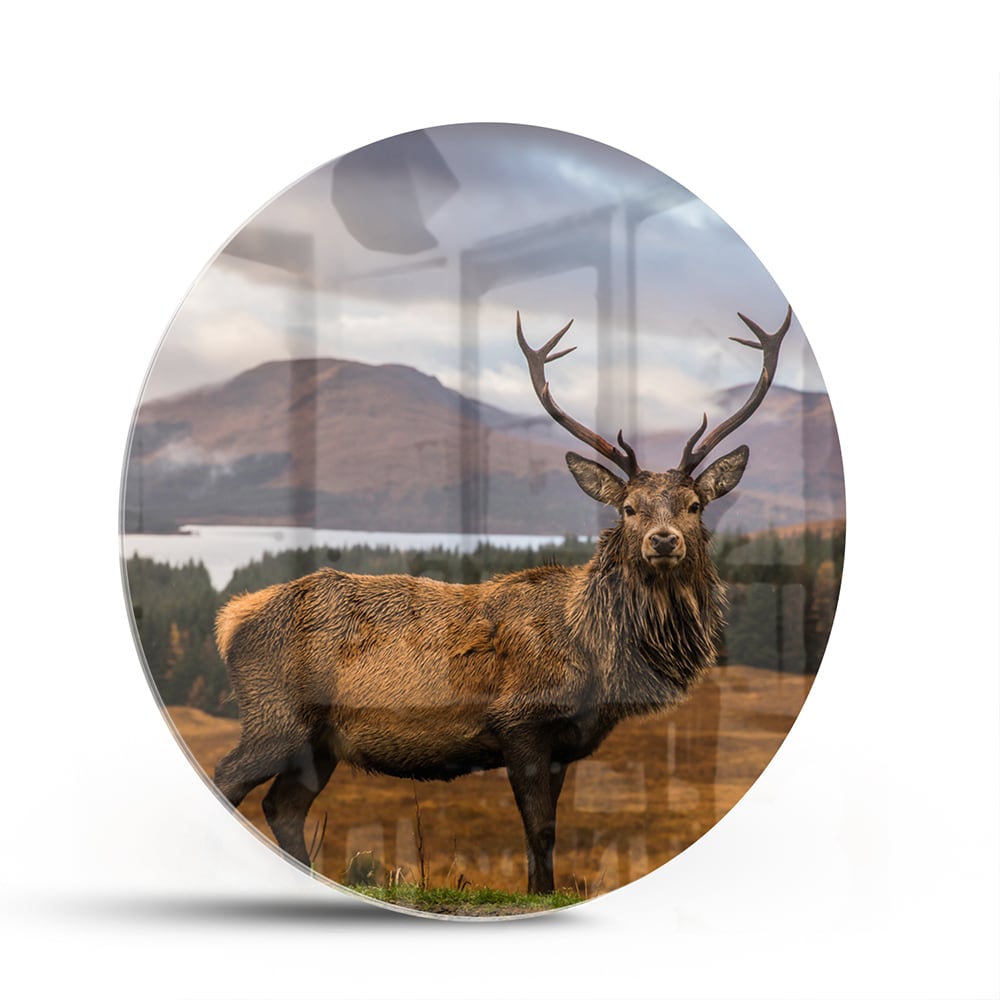 Glazen schilderij van een hert op een natuurlijke achtergrond.