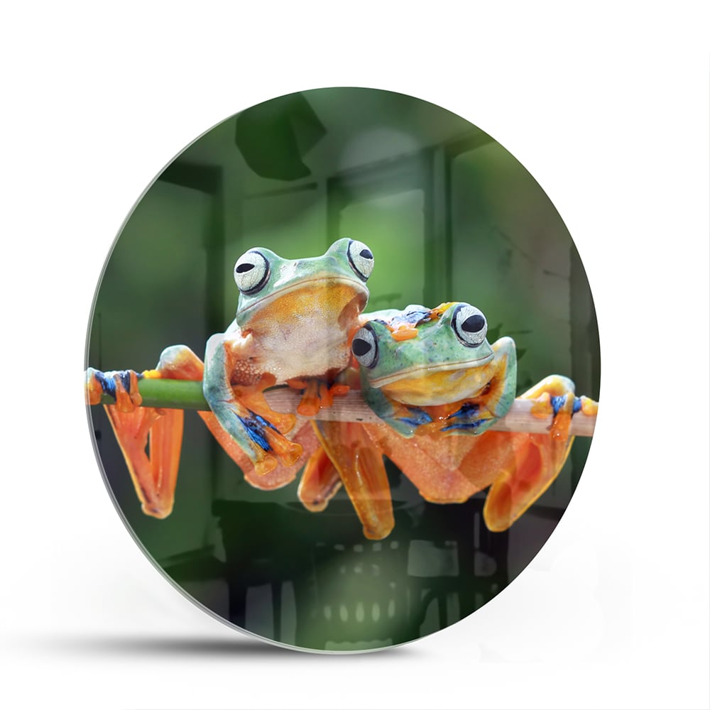Glazen schilderij van een vrolijke kikker die op een tak zit.
