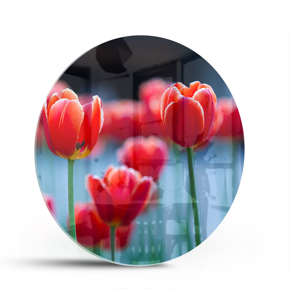 Glazen schilderij met rode tulpen op een witte muur