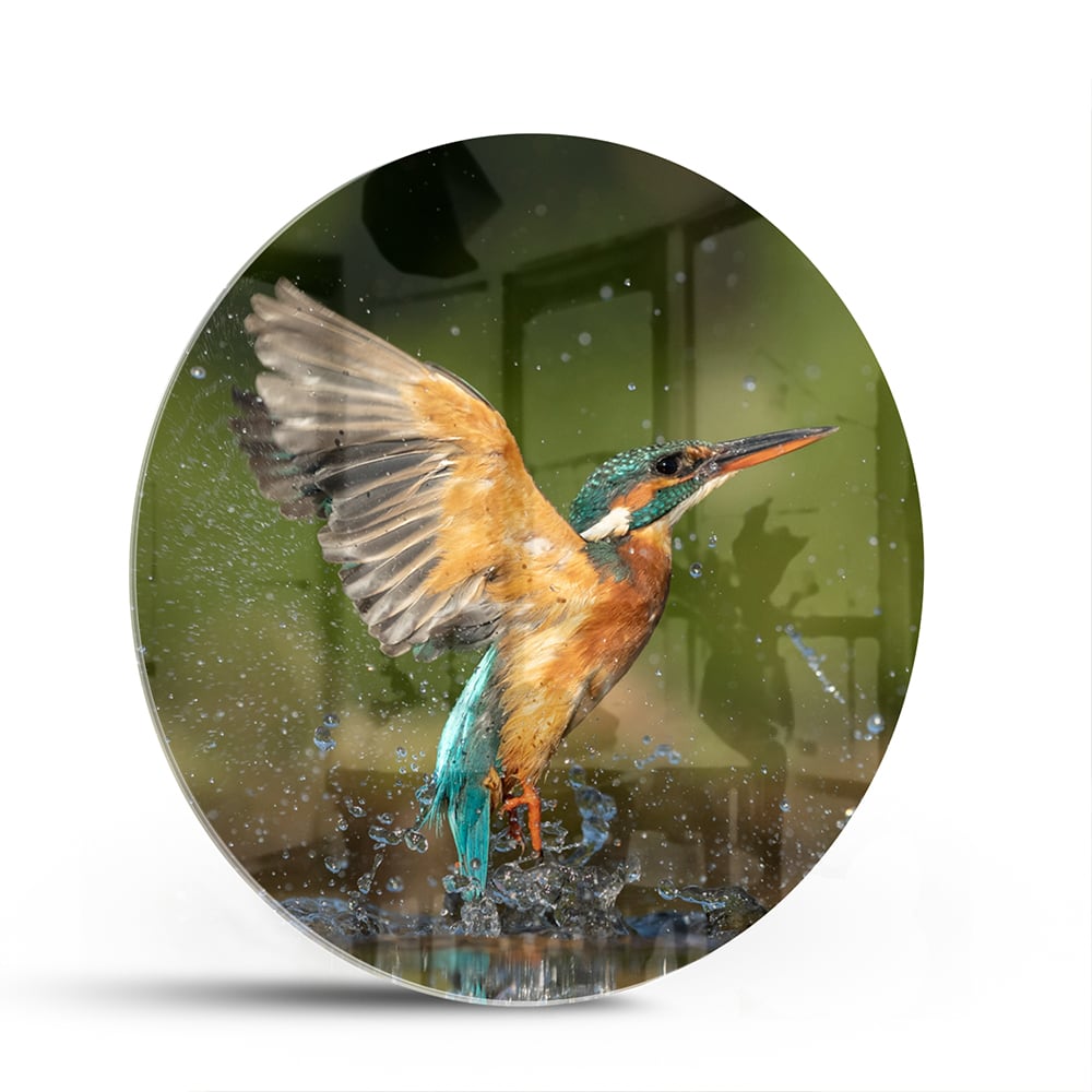 Glazen schilderij van een ijsvogel die in het water duikt