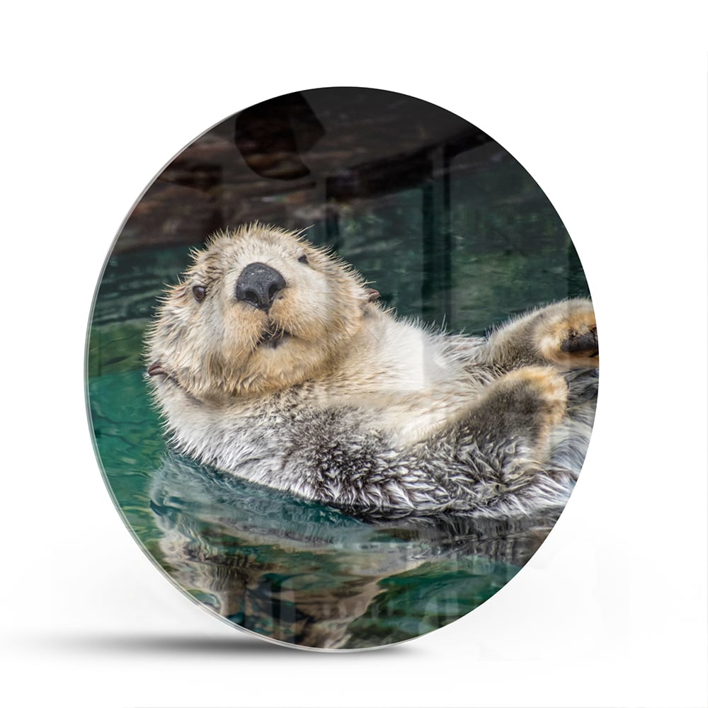 Glazen schilderij van een zeeotter die in water drijft.