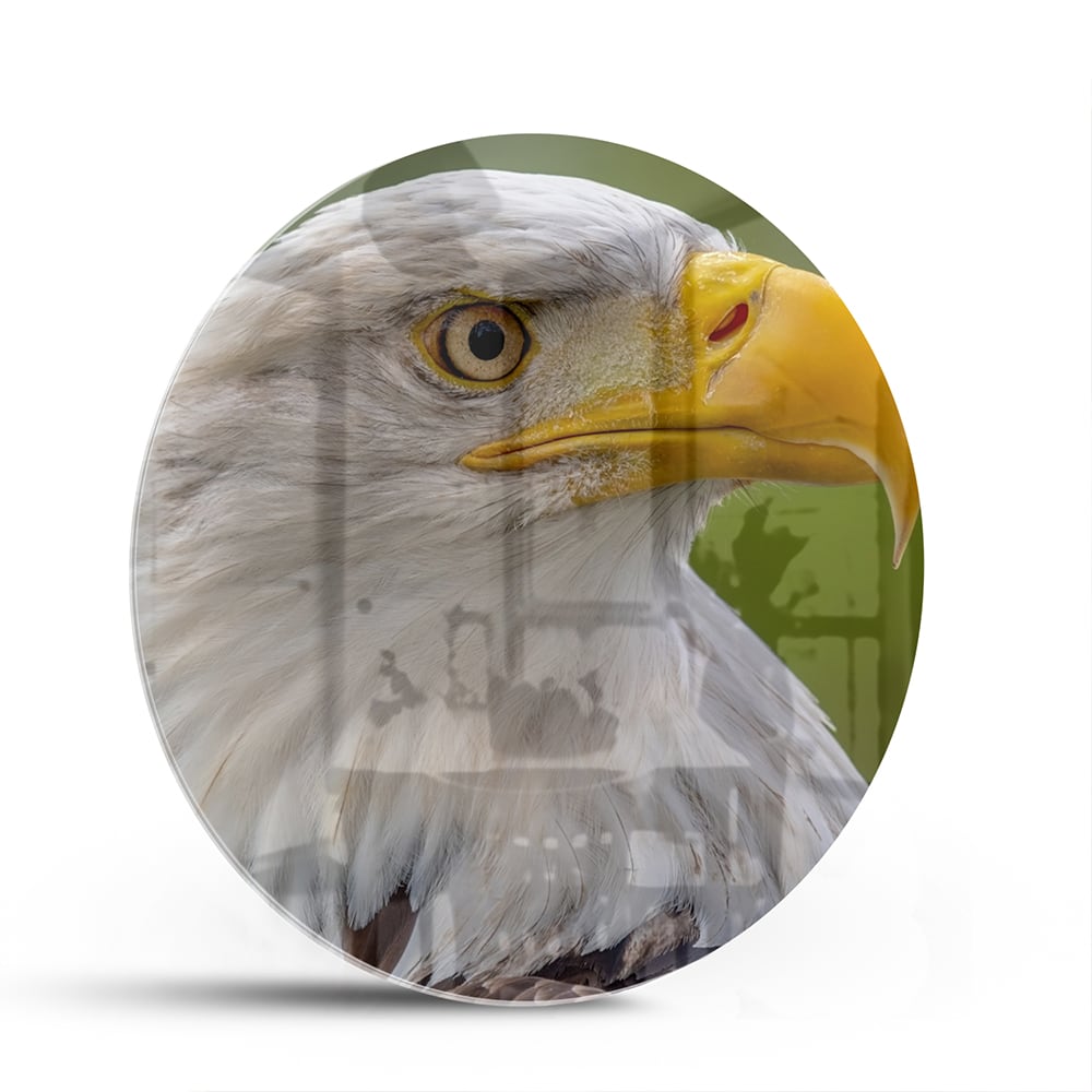 Een prachtig glazen schilderij van een Amerikaanse zeearend met een groene achtergrond.