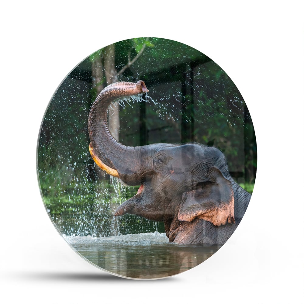 Glazen schilderij van een olifant die speelt in het water