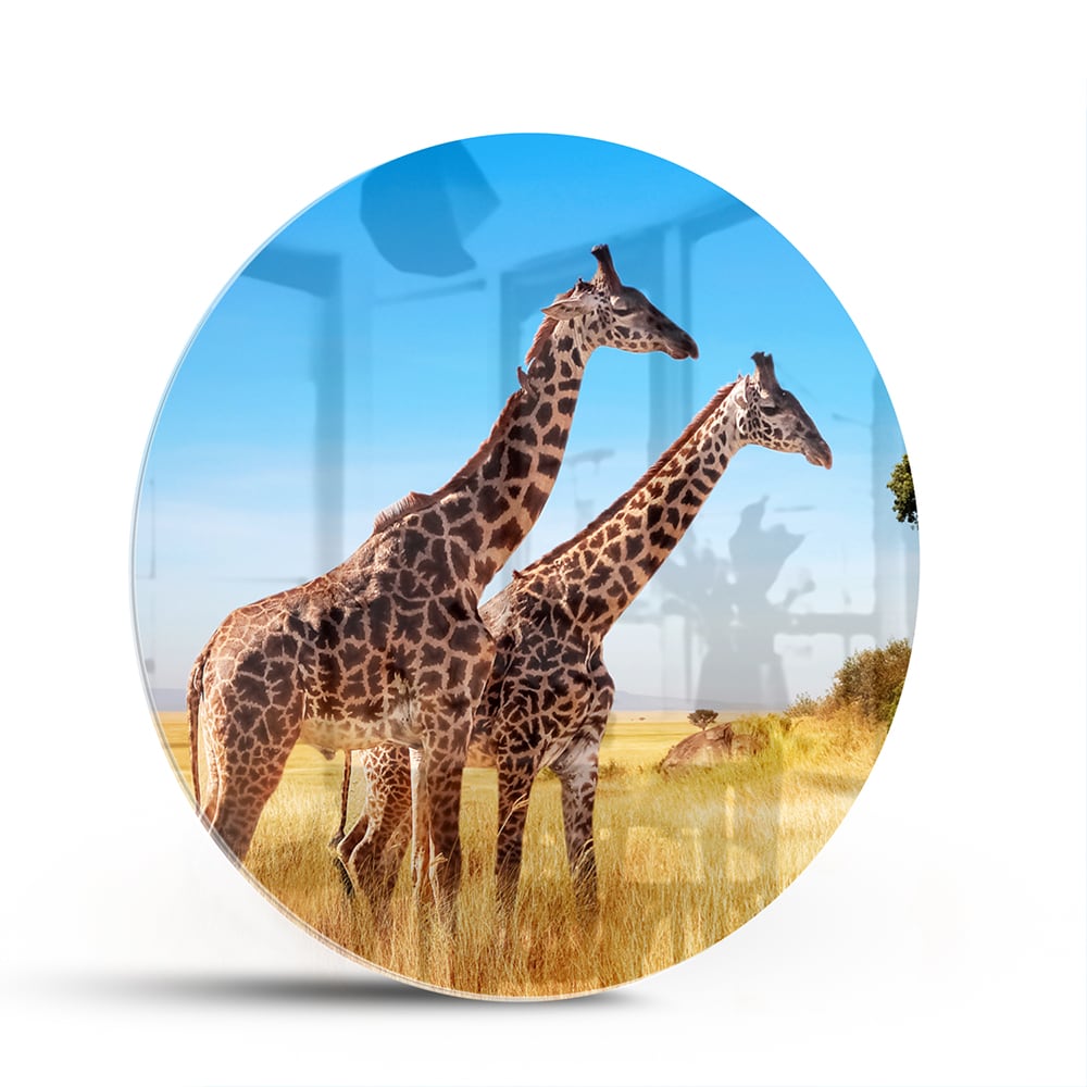 Glazen schilderij van twee giraffen in een Afrikaans landschap