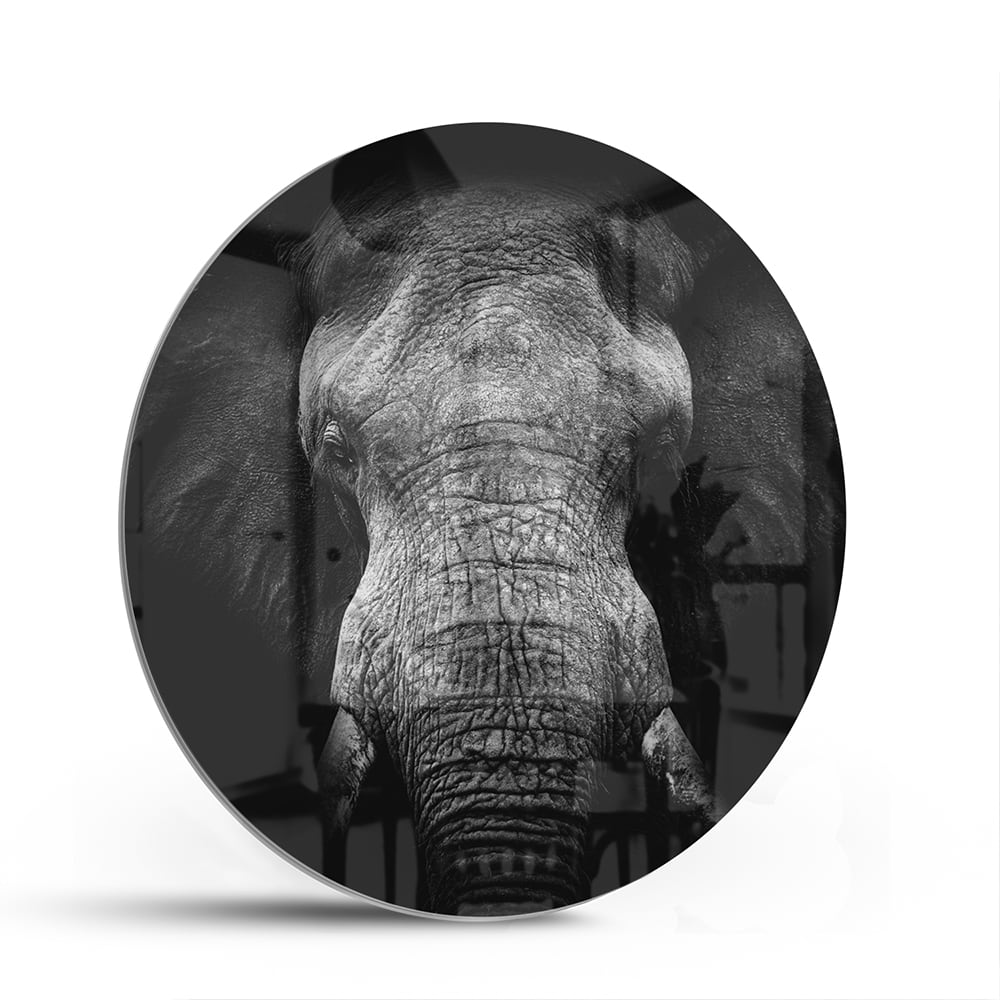 Glazen schilderij van een olifant in zwart-wit, perfect voor interieurdecoratie.