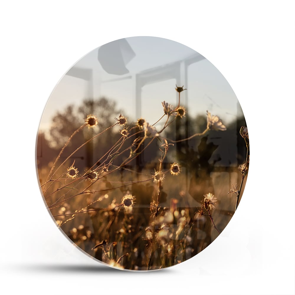 Glazen schilderij van een zonsondergang met bloeiende bloemen, hangend aan een witte muur.