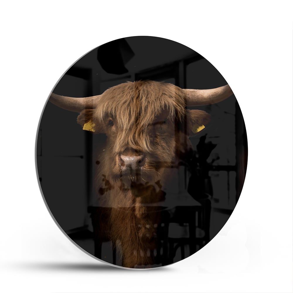 Glazen schilderij van een hooglander, een krachtige uitstraling in interieurdecoratie.
