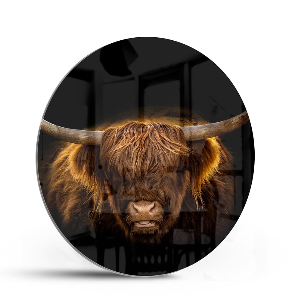 Glazen schilderij van een Highlander rund met lange hoorns en vacht op een zwarte achtergrond.