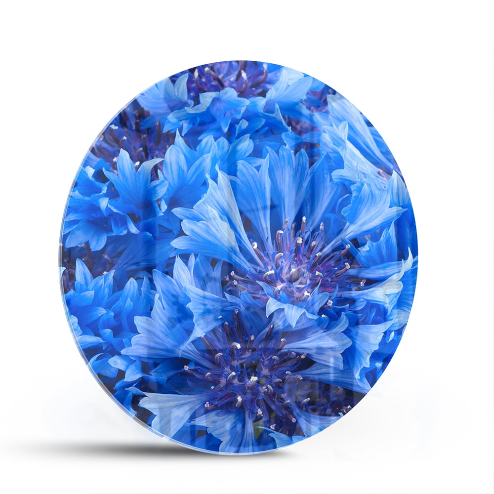 Glazen schilderij met een prachtig blauw bloemenmotief aan de muur