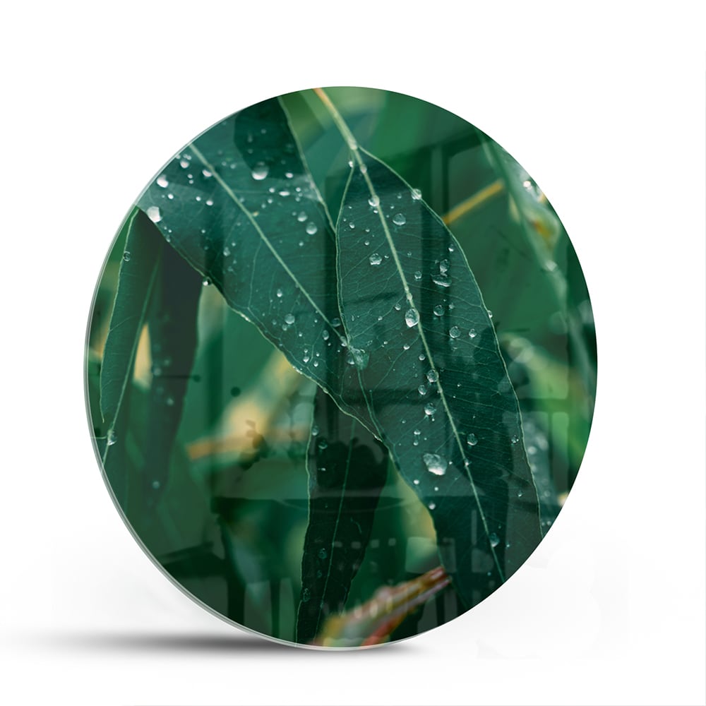 Glas schilderij van groene bladeren met dauwdruppels in een interieur