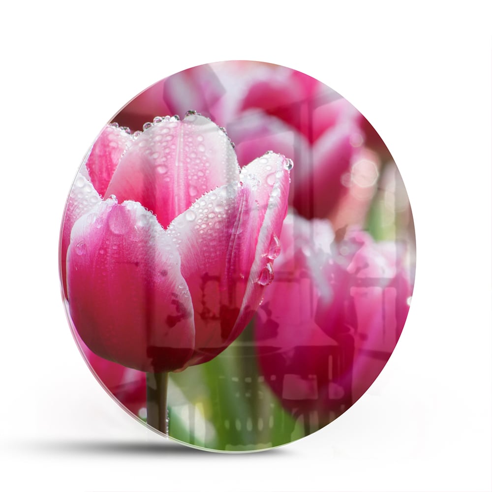 Glazen schilderij van roze tulpen met dauwdruppels, elegant en kleurig.