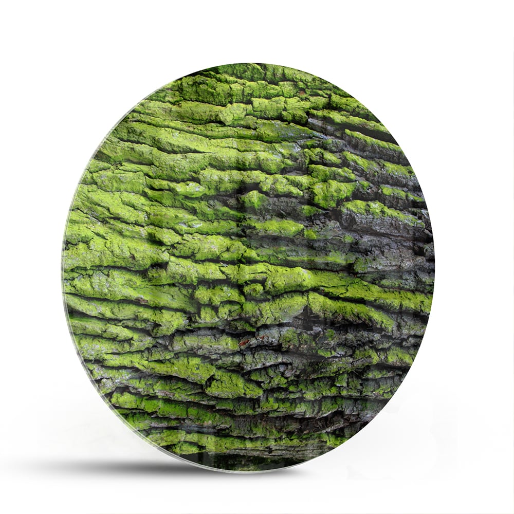Glazen schilderij met groene mosachtige textuur aan een muur