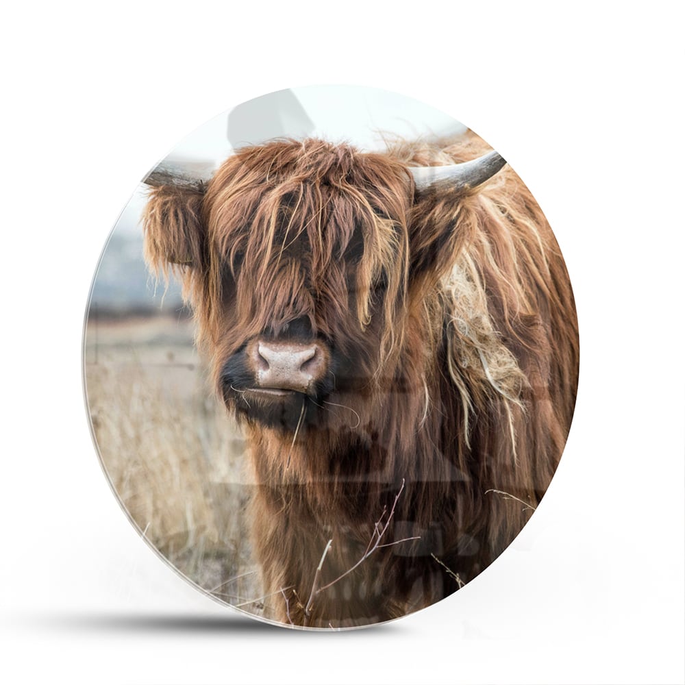 Glazen schilderij met een Houten Hooglander in een natuurlijke omgeving.