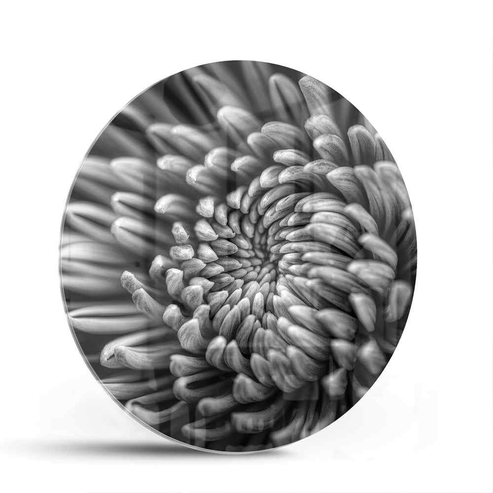 Zwart-wit glas schilderij van een kronkelige bloem aan de muur.