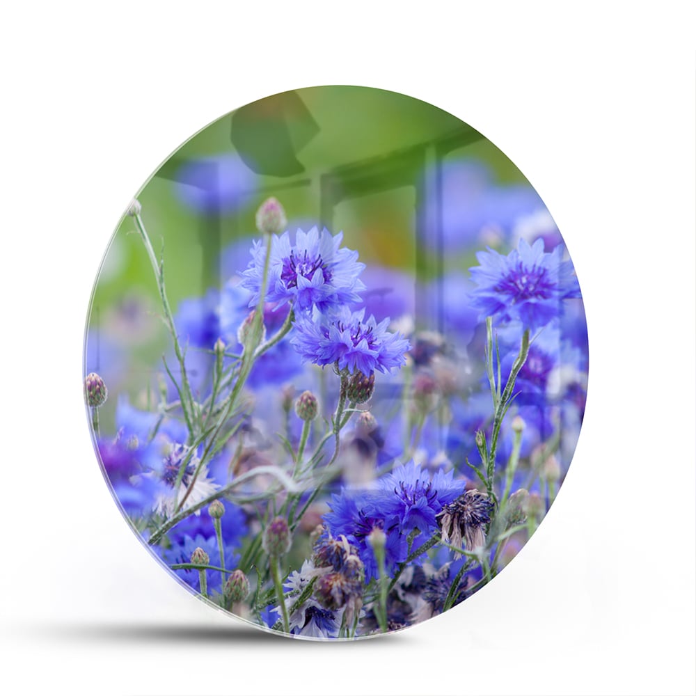 Glazen schilderij met paarse bloemen aan de muur in een lichte woonkamer.