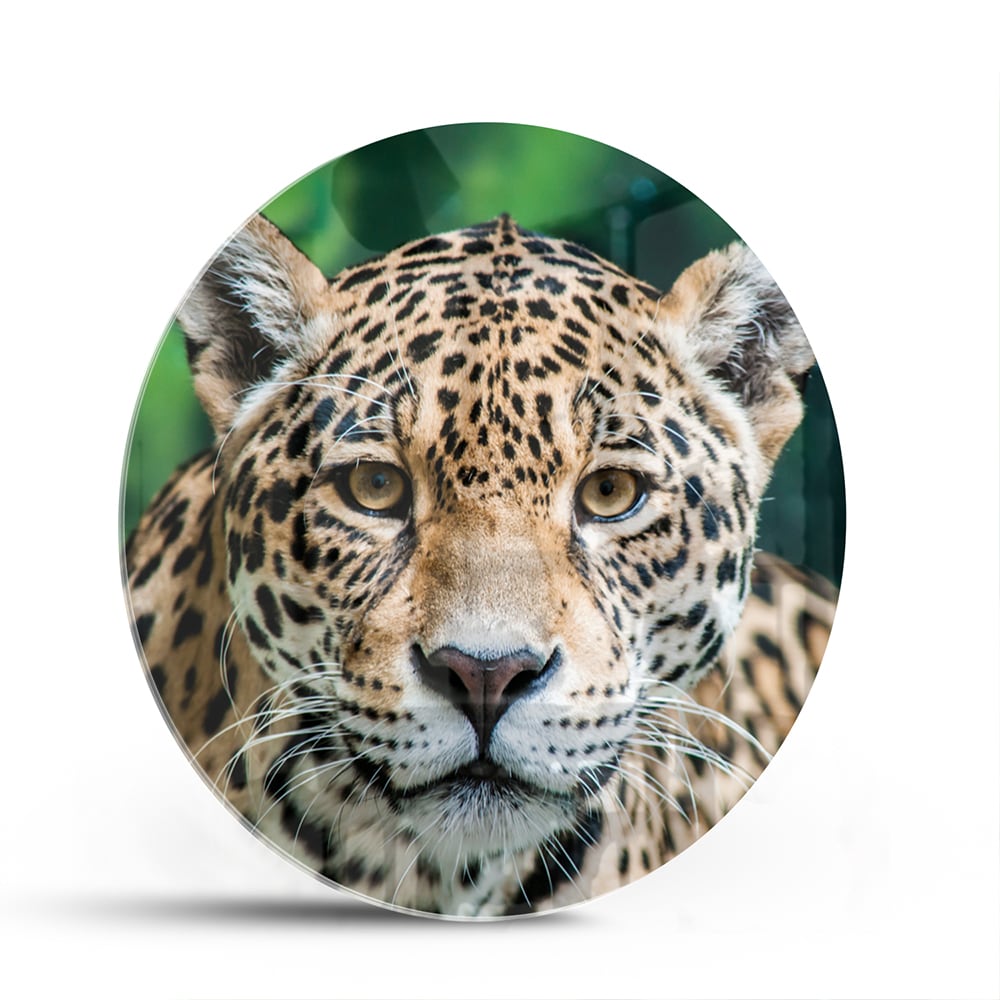 Glazen schilderij van een jaguar dat aan de muur hangt in een moderne woonkamer.