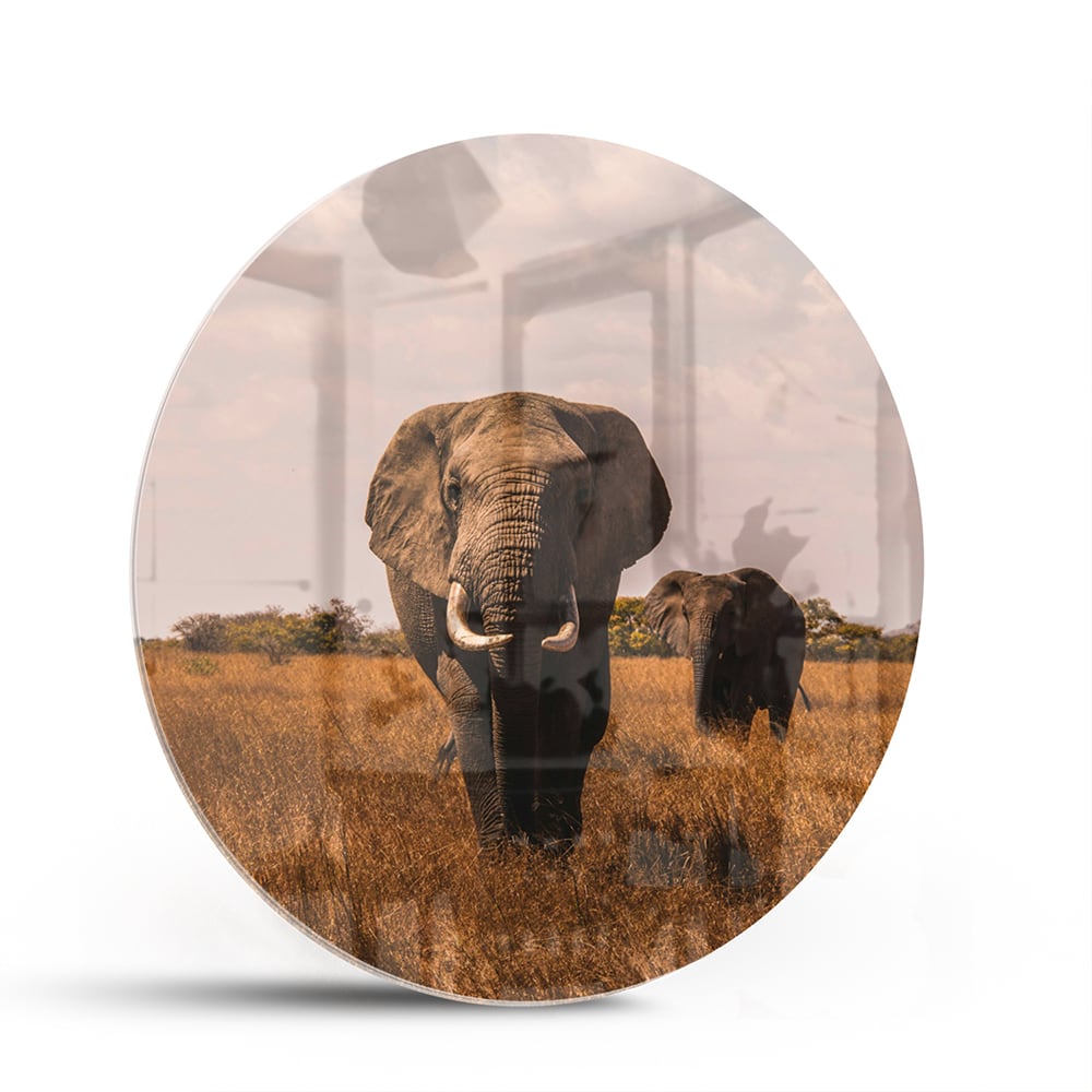Glazen schilderij van twee olifanten in een gouden graslandschap