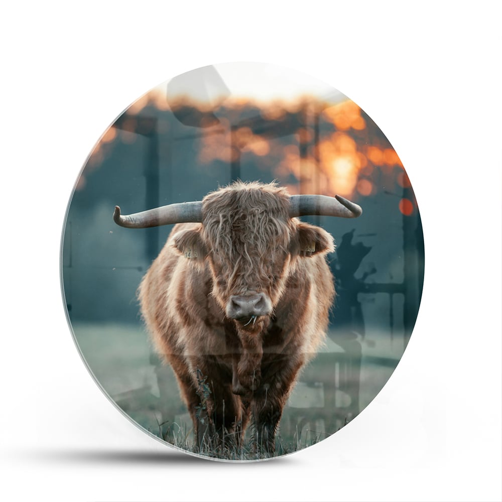 Glazen schilderij van een Schotse Hooglander in een natuurlijke setting.