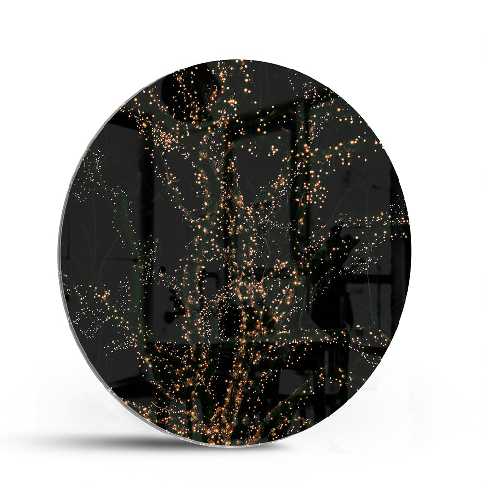 Abstract glazen schilderij met gouden takken op een zwarte achtergrond