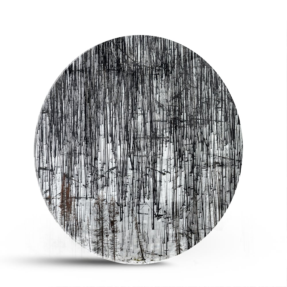 Minimalistisch glazen schilderij met een boslandschap, perfect voor moderne interieurs.