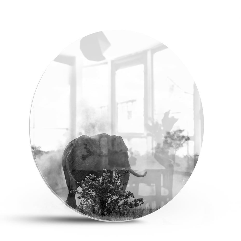 Zwart-wit glazen schilderij van een olifant aan de muur in een modern interieur.