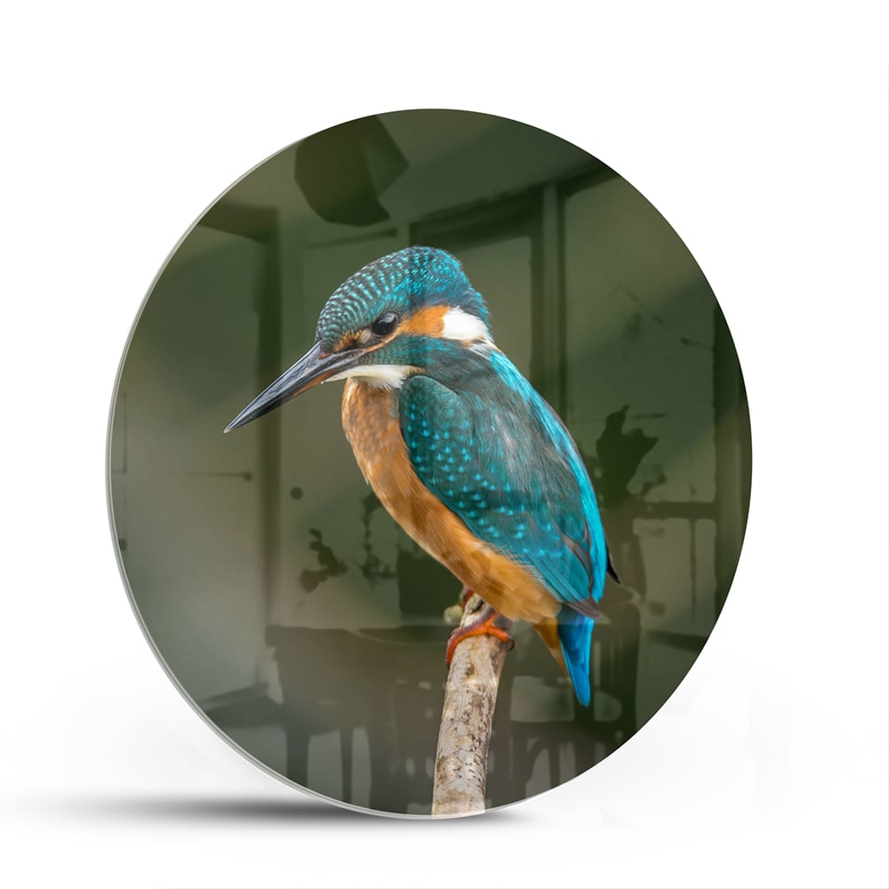 Een glazen schilderij van een ijsvogel die op een tak zit, kleurrijk en gedetailleerd.