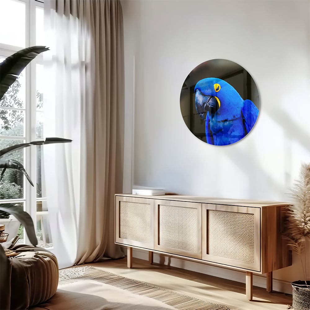 Glazen schilderij van een blauwe ara, ideaal voor wanddecoratie.
